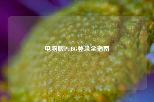 电脑版PUBG登录全指南