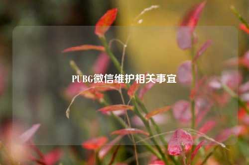 PUBG微信维护相关事宜