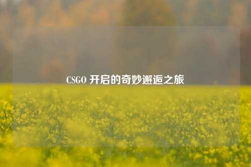 CSGO 开启的奇妙邂逅之旅