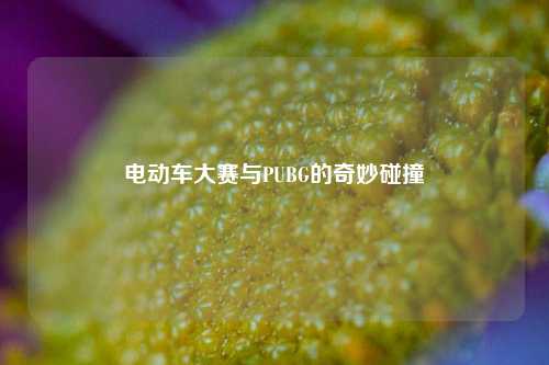 电动车大赛与PUBG的奇妙碰撞