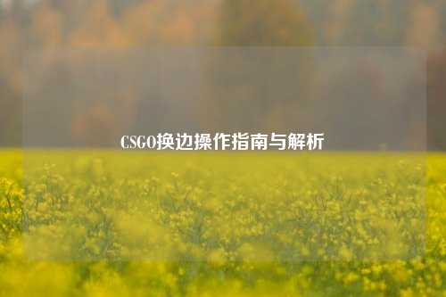CSGO换边操作指南与解析