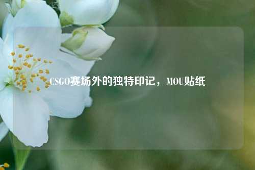 CSGO赛场外的独特印记，MOU贴纸