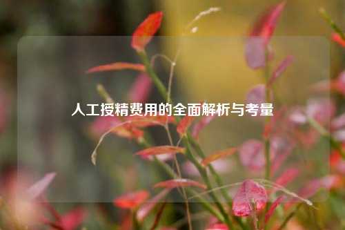 人工授精费用的全面解析与考量