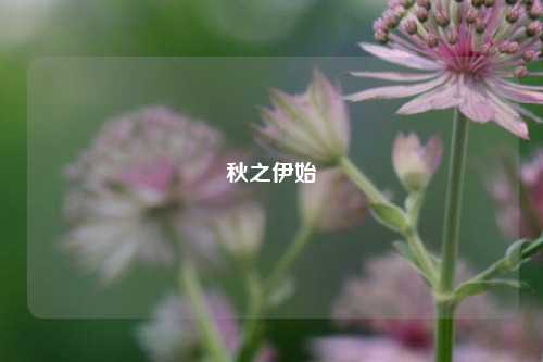 秋之伊始