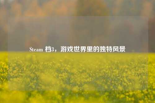 Steam 档3，游戏世界里的独特风景