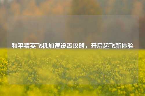 和平精英飞机加速设置攻略，开启起飞新体验
