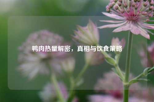 鸭肉热量解密，真相与饮食策略