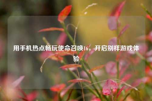 用手机热点畅玩使命召唤16，开启别样游戏体验
