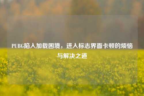 PUBG陷入加载困境，进入标志界面卡顿的烦恼与解决之道