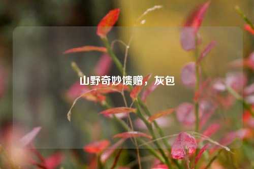 山野奇妙馈赠，灰包