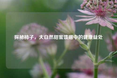 探秘柿子，大自然甜蜜馈赠中的健康益处