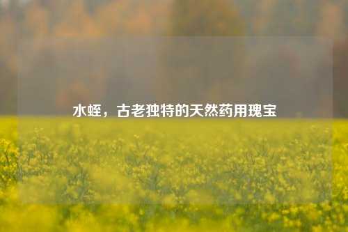 水蛭，古老独特的天然药用瑰宝
