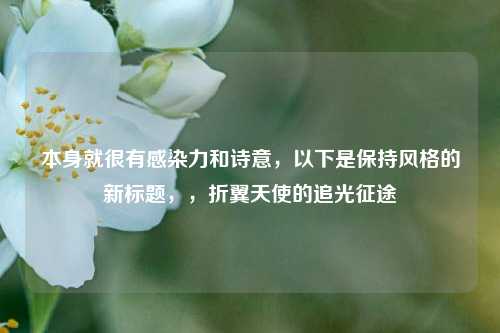 本身就很有感染力和诗意，以下是保持风格的新标题，，折翼天使的追光征途