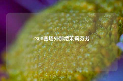 CSGO赛场外那缕茉莉芬芳