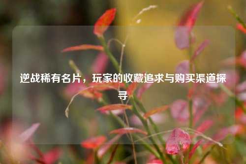 逆战稀有名片，玩家的收藏追求与购买渠道探寻