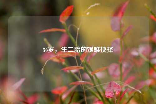 36岁，生二胎的艰难抉择