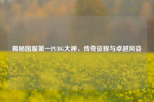 揭秘国服之一PUBG大神，传奇征程与卓越风姿