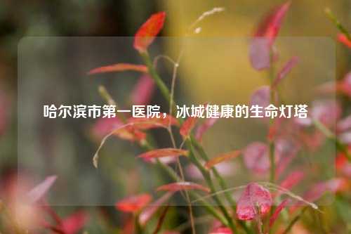哈尔滨市之一医院，冰城健康的生命灯塔