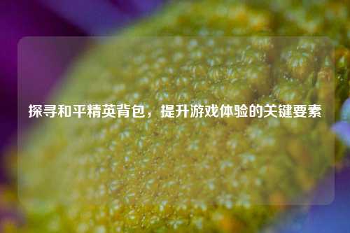 探寻和平精英背包，提升游戏体验的关键要素