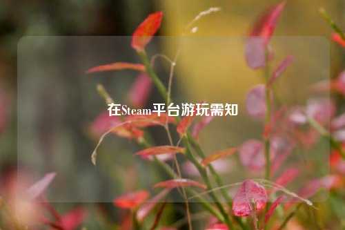 在Steam平台游玩需知