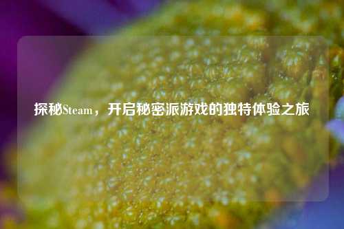 探秘Steam，开启秘密派游戏的独特体验之旅
