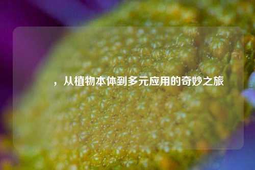 蒟蒻，从植物本体到多元应用的奇妙之旅