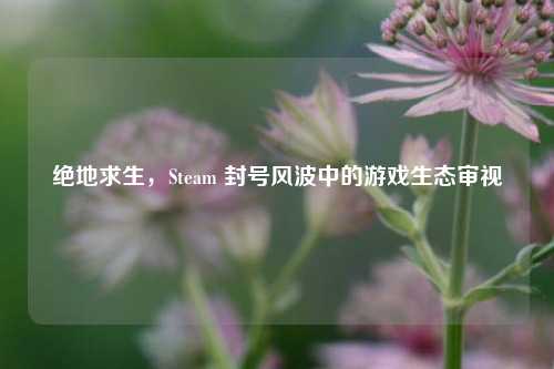 绝地求生，Steam 封号风波中的游戏生态审视
