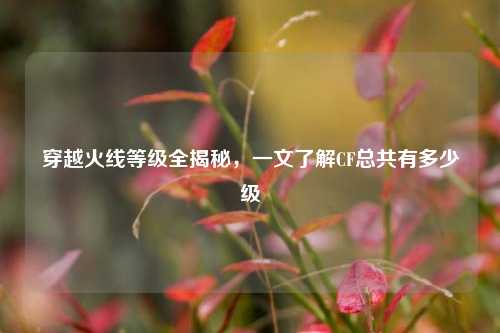穿越火线等级全揭秘，一文了解CF总共有多少级