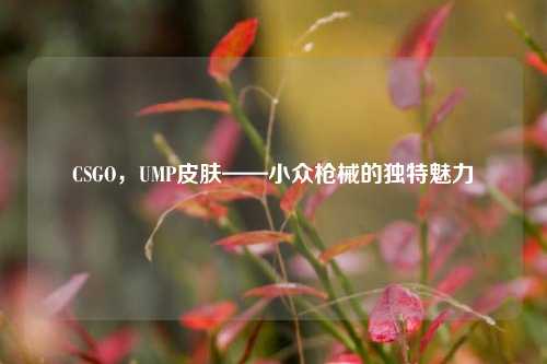 CSGO，UMP皮肤——小众枪械的独特魅力