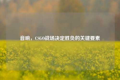 音响，CSGO战场决定胜负的关键要素