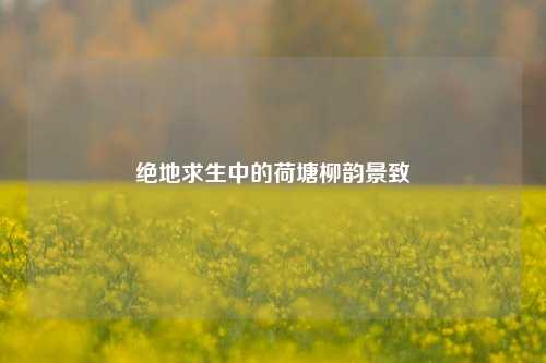 绝地求生中的荷塘柳韵景致