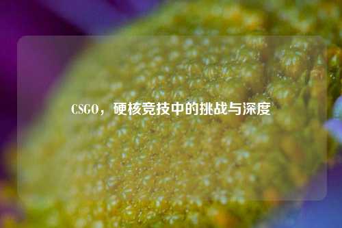 CSGO，硬核竞技中的挑战与深度
