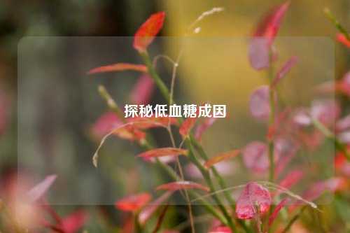 探秘低血糖成因