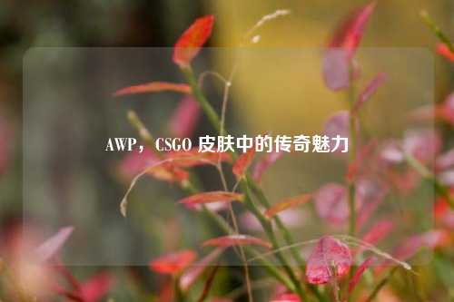 AWP，CSGO 皮肤中的传奇魅力