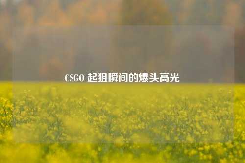 CSGO 起狙瞬间的爆头高光