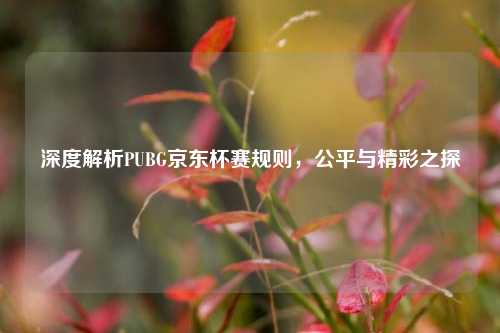深度解析PUBG京东杯赛规则，公平与精彩之探