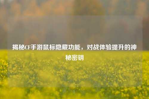 揭秘CF手游鼠标隐藏功能，对战体验提升的神秘密钥