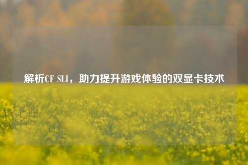 解析CF SLI，助力提升游戏体验的双显卡技术