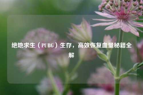 绝地求生（PUBG）生存，高效恢复血量秘籍全解
