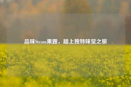 品味Steam果露，踏上独特味觉之旅