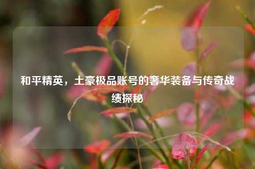 和平精英，土豪极品账号的奢华装备与传奇战绩探秘