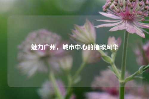 魅力广州，城市中心的璀璨风华