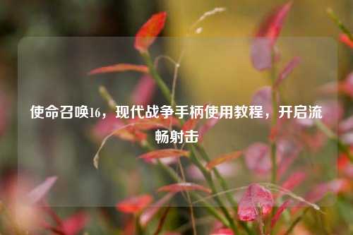 使命召唤16，现代战争手柄使用教程，开启流畅射击