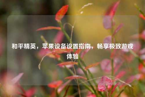 和平精英，苹果设备设置指南，畅享极致游戏体验