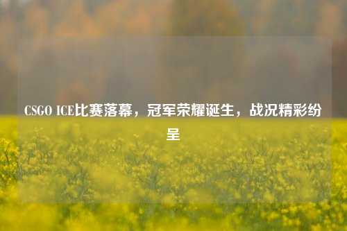 CSGO ICE比赛落幕，冠军荣耀诞生，战况精彩纷呈