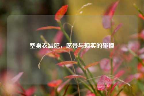 塑身衣减肥，愿景与现实的碰撞