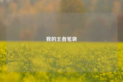 我的王者笔袋