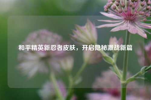 和平精英新忍者皮肤，开启隐秘激战新篇