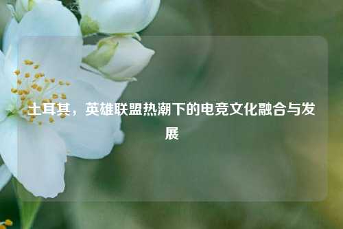 土耳其，英雄联盟热潮下的电竞文化融合与发展