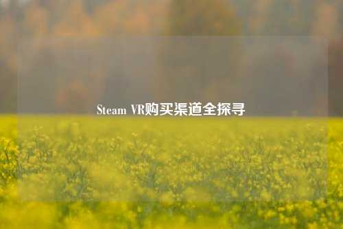 Steam VR购买渠道全探寻
